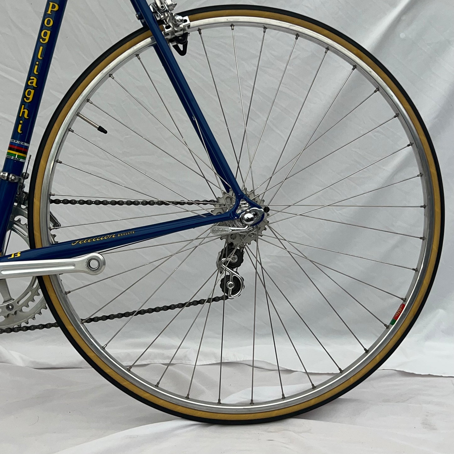 Pogliaghi Sante Columbus Steel Vintage Bike 60cm Campagnolo Original #38