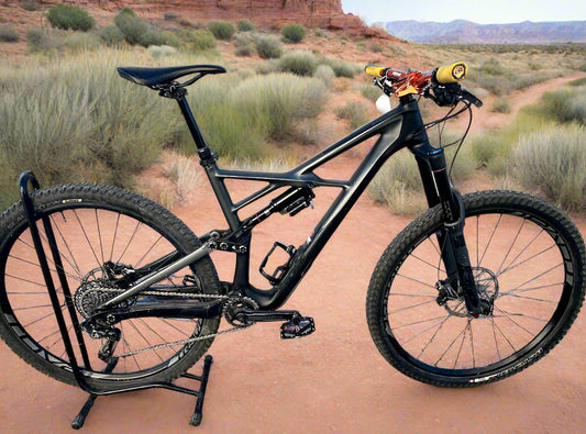 2017 Enduro Elite Carbon 29/6Fattie Black Large Mountain Bike