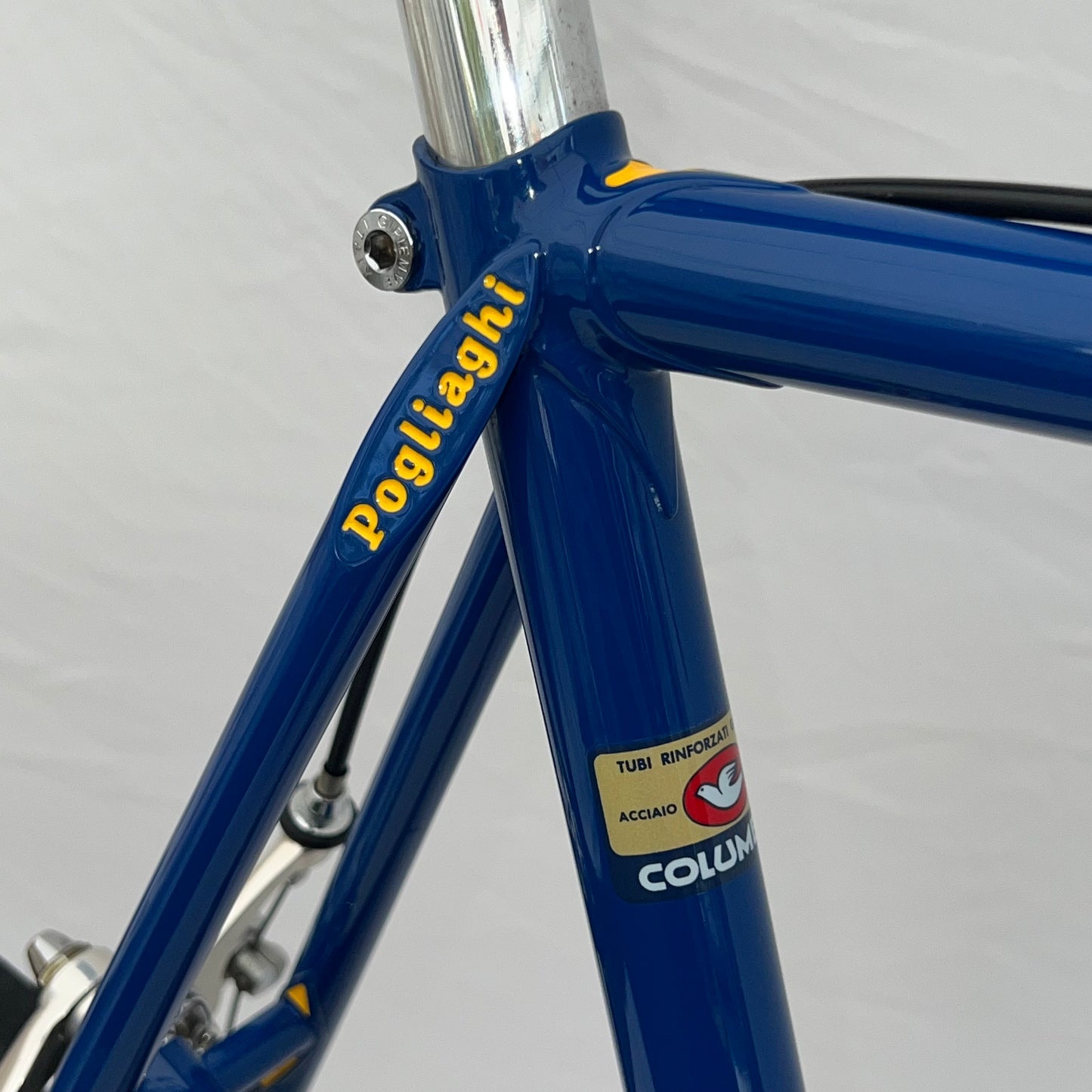 Pogliaghi Sante Columbus Steel Vintage Bike 60cm Campagnolo Original #38